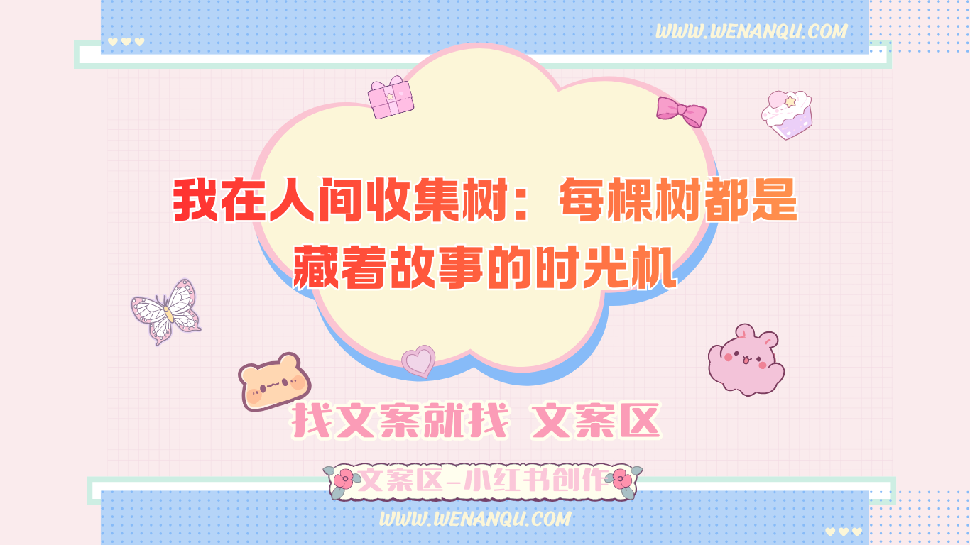 我在人间收集树:每棵树都是藏着故事的时光机