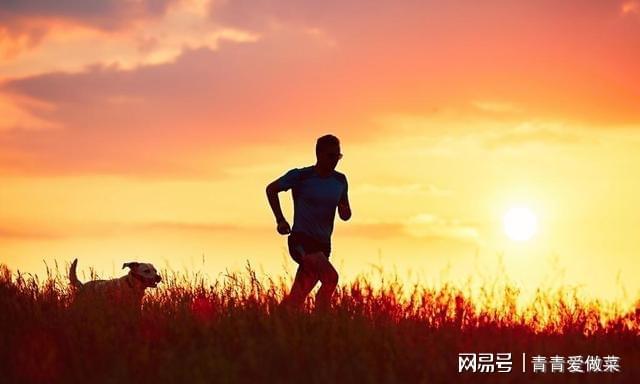 
支撑自己走下去的励志文案
-文案区
-第3
张图片