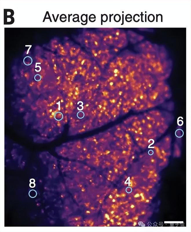 
温柔干净的励志文案（100句）
-文案区
-第2
张图片