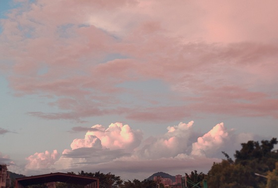 
让人清醒的高级自律文案
-文案区
-第2
张图片