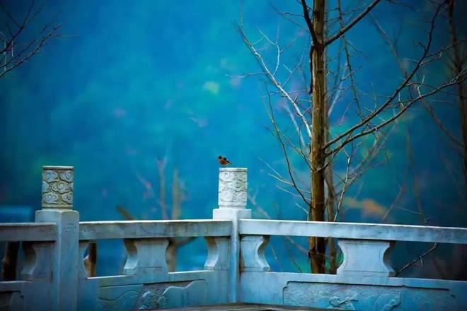 
40句人间值得的治愈文案
-文案区
-第2
张图片