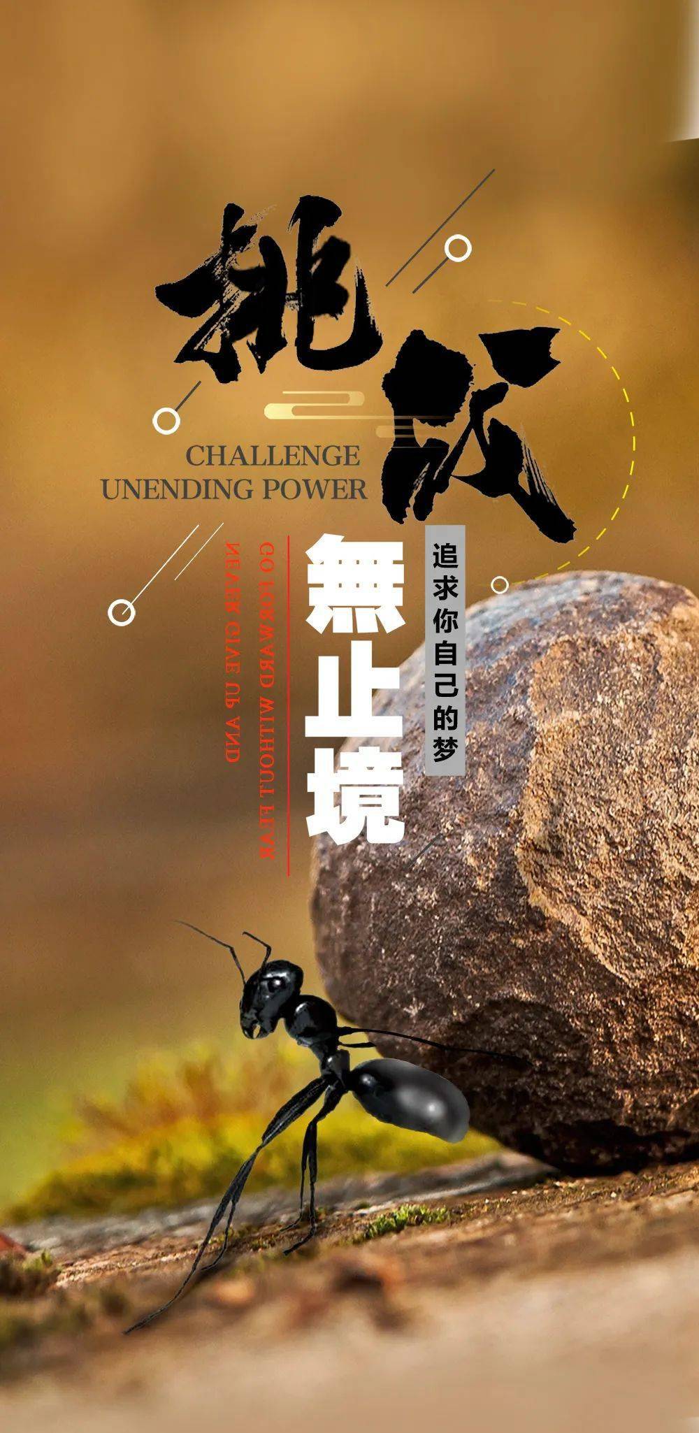 
勇于追求梦想的经典语录
-文案区
-第3
张图片