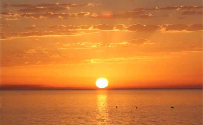 
生活虽苦但能够治愈你的句子
-文案区
-第3
张图片