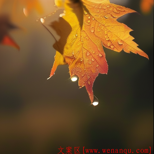 适合秋天发的小众浪漫文案